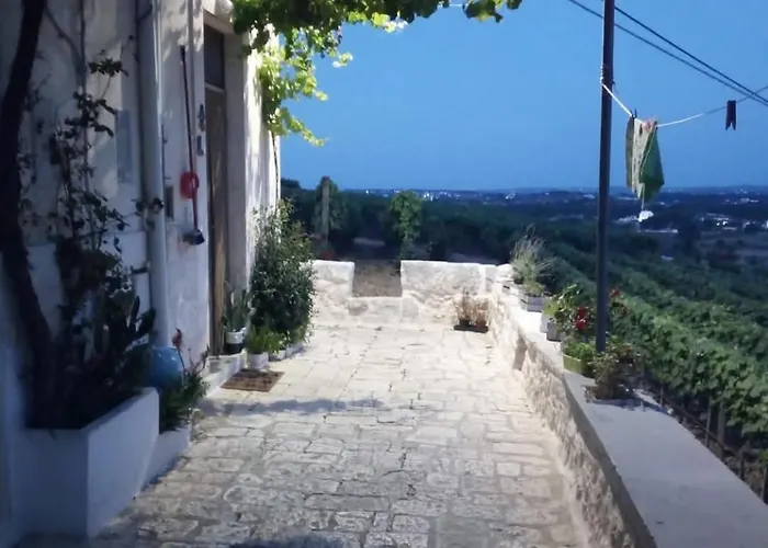 Belvedere