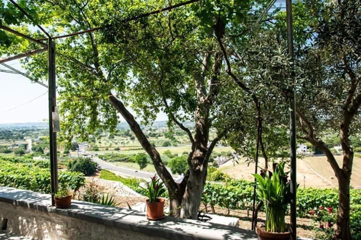 Belvedere Holiday home